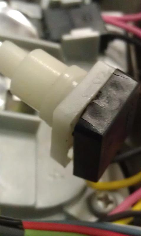 IMAG0521.jpg