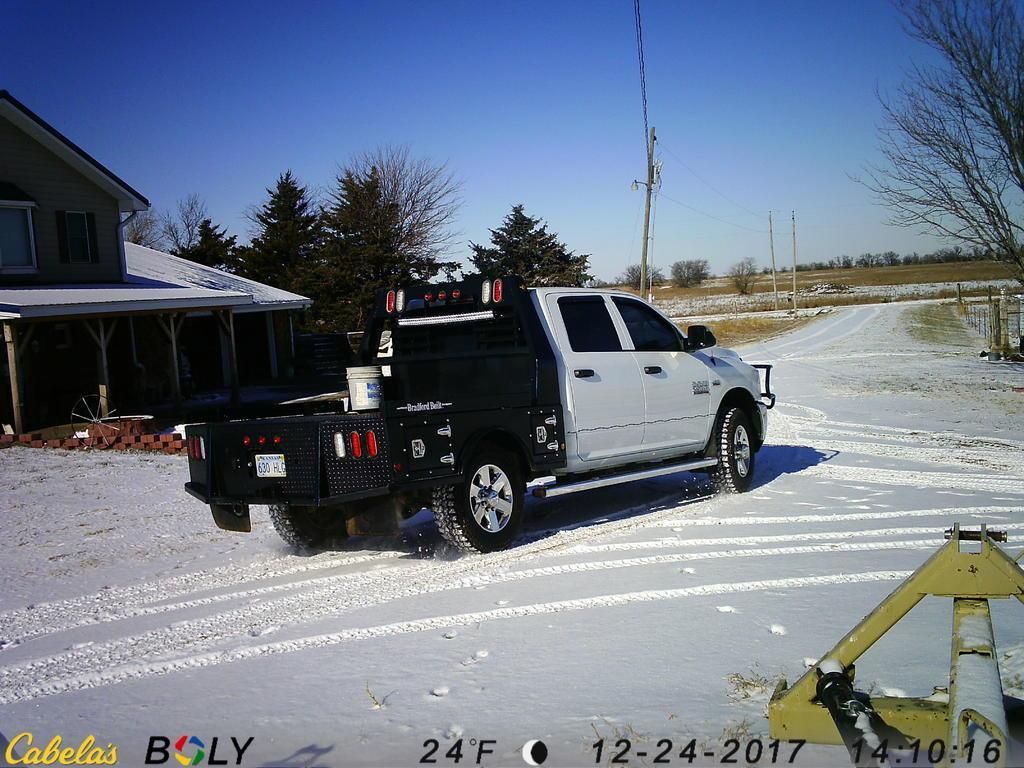 IMAG0533.jpg