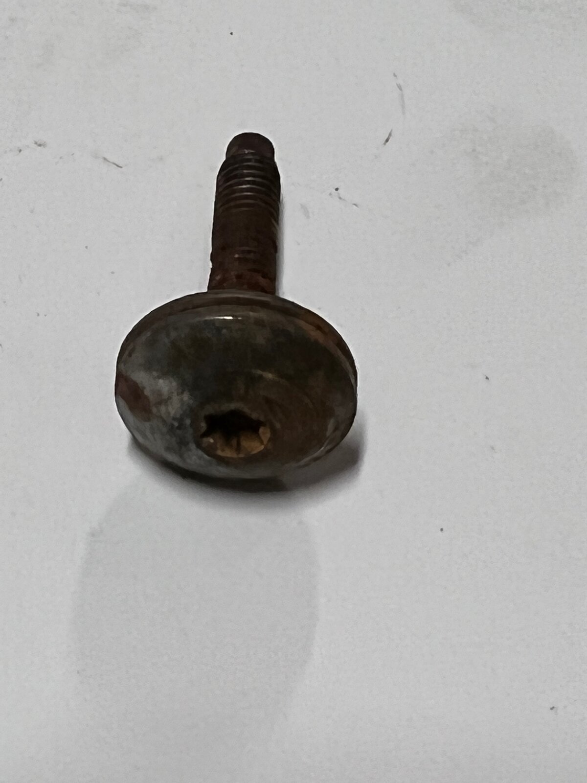 image1.jpeg