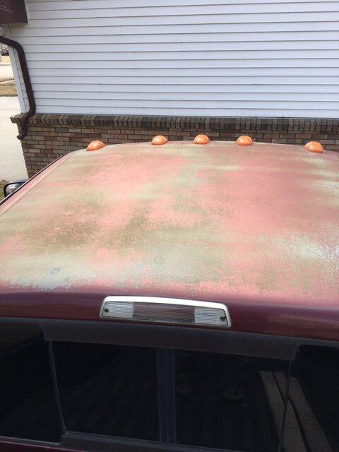 image12.jpeg