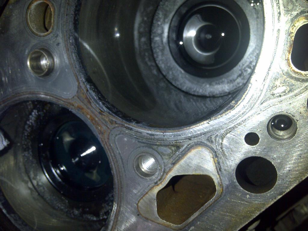 IMG-20150901-00804.jpg