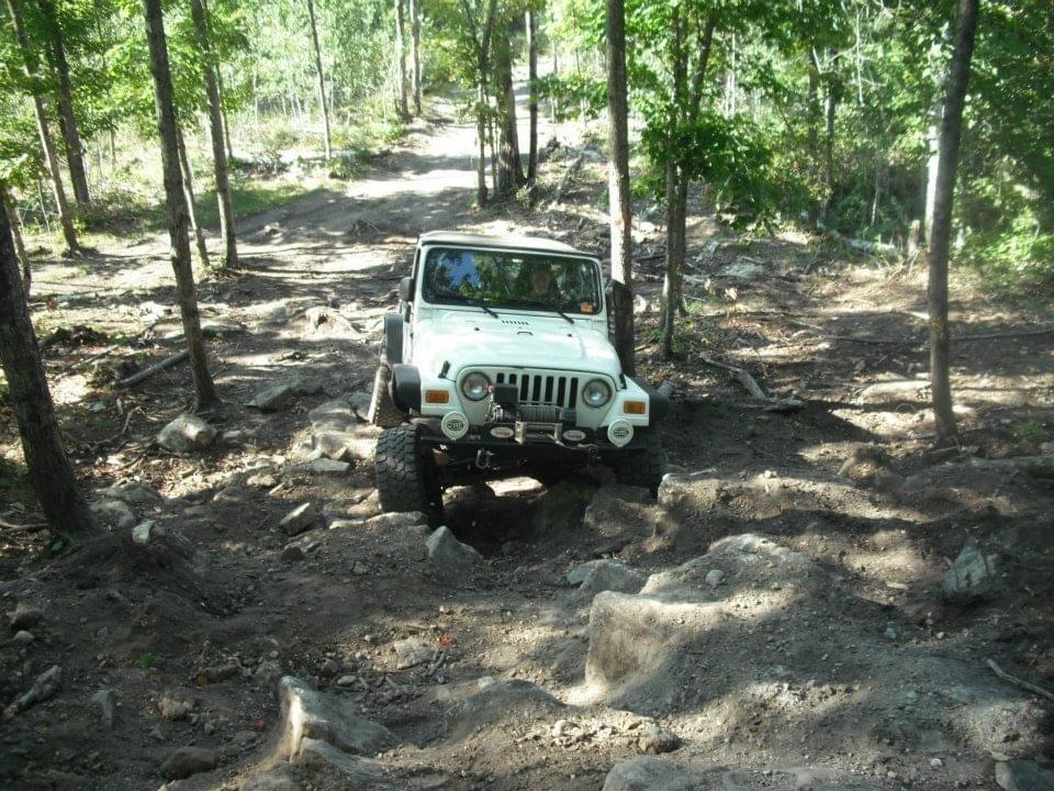 IMG-4098.JPG
