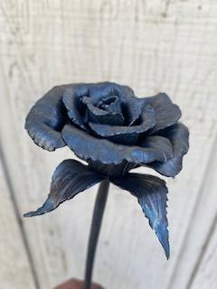 IMG_0167.jpeg
