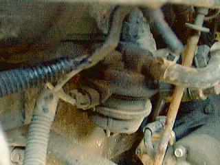 IMG_0195.jpeg