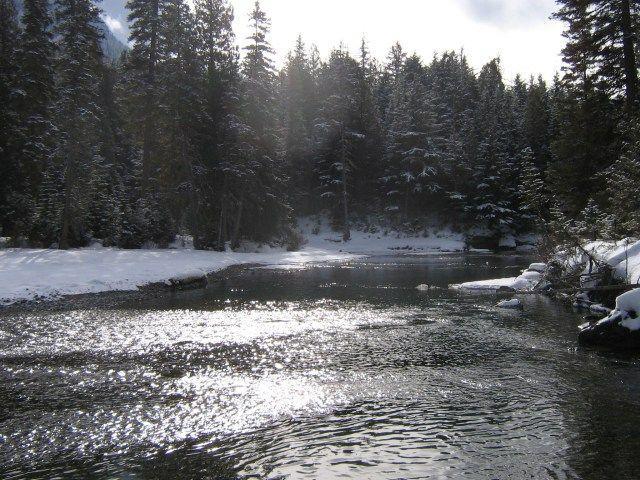 img_1130.jpg