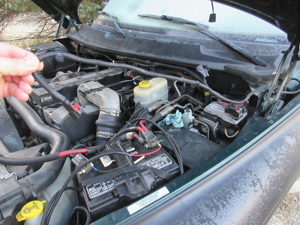 IMG_1143_zpsg2qg6amx.jpg