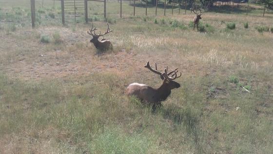 IMG_20130710_083017_554.jpg