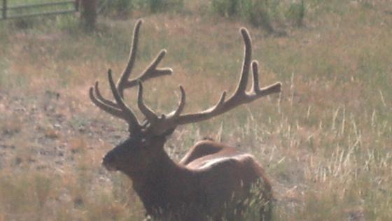 IMG_20130710_083032_513.jpg