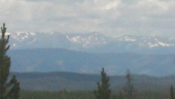 IMG_20130712_122143_505.jpg