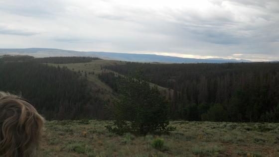 IMG_20130712_192823_211.jpg