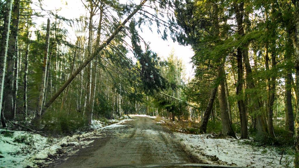 IMG_20141103_142201675_HDR.jpg