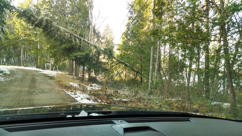 IMG_20141103_142215199_HDR.jpg