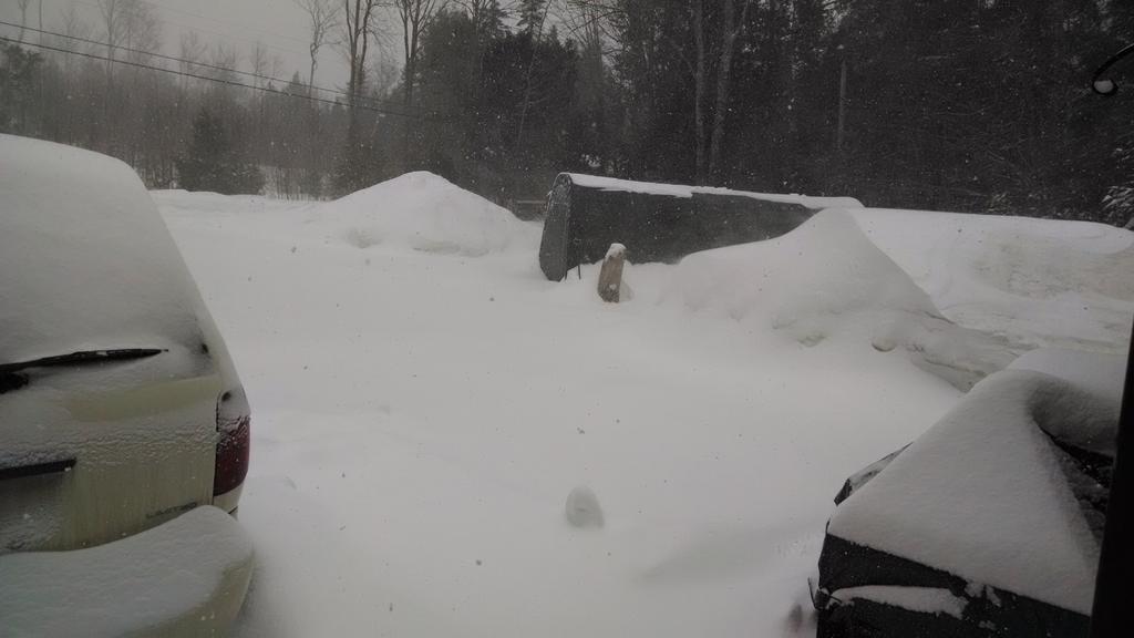 IMG_20150315_141816579.jpg
