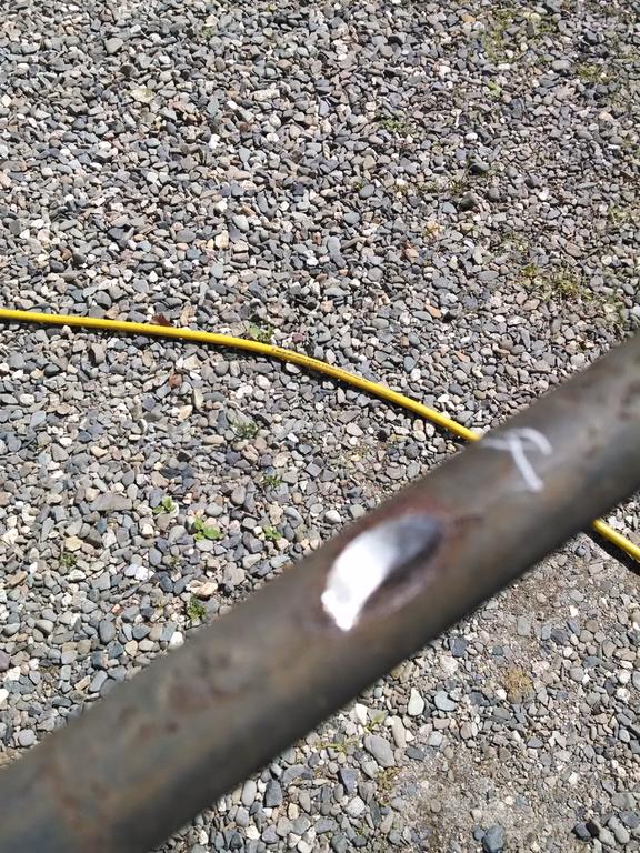 IMG_20150811_112856404.jpg