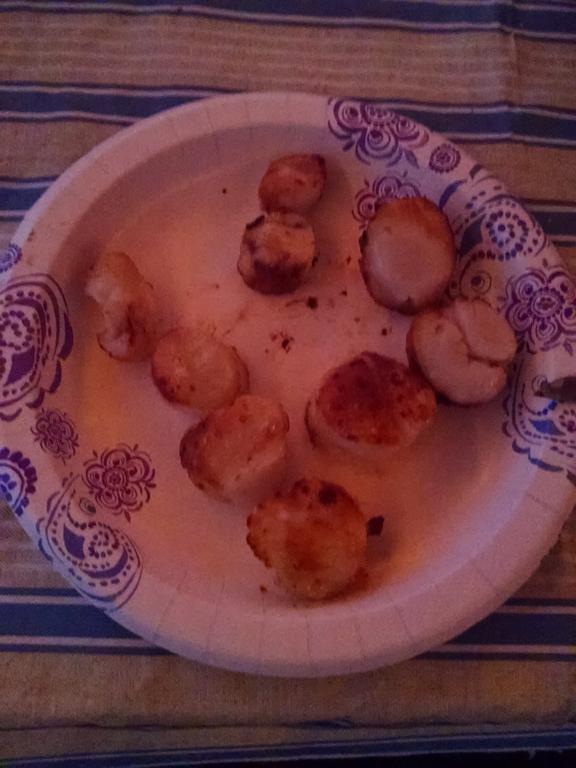 IMG_20160813_195543194.jpg
