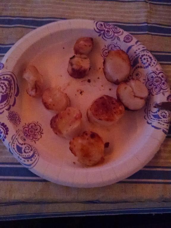 IMG_20160813_195550649.jpg