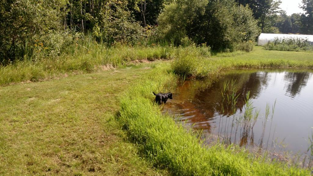 IMG_20170821_142538606.jpg
