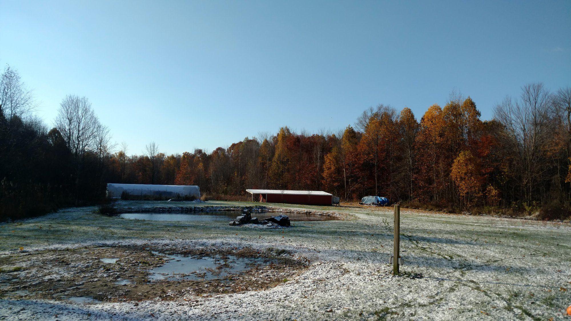 IMG_20181110_091937346.jpg