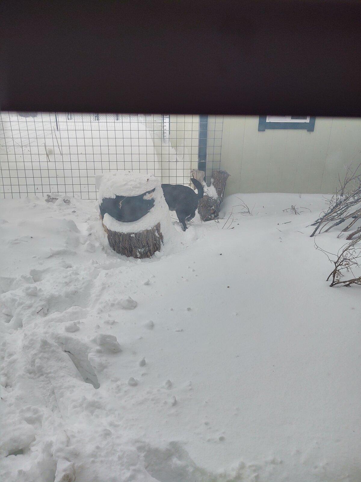 IMG_20210314_155300959_HDR.jpg