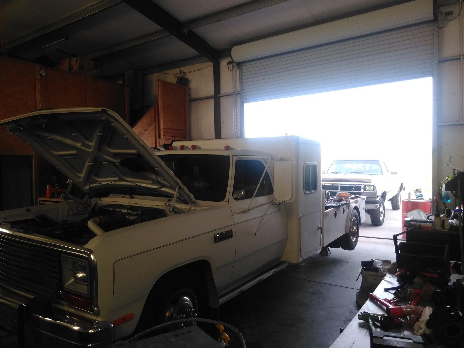 IMG_20220319_072909 (1).jpg