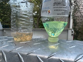 IMG_2453.jpeg