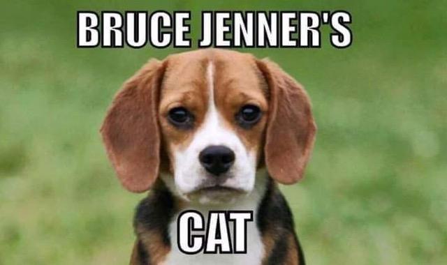 jenner.jpeg