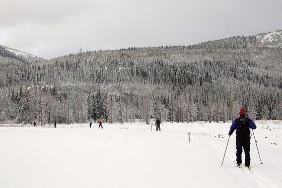 keechelus-lake-dam-loop-trail-cross-country-skiing-away-from-lake.jpg