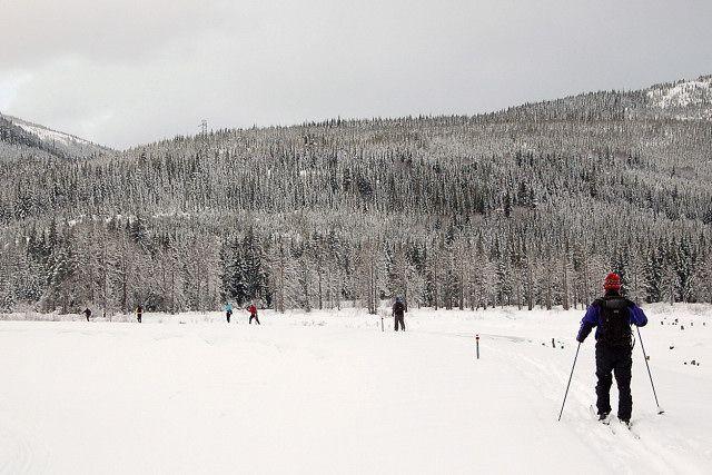 keechelus-lake-dam-loop-trail-cross-country-skiing-away-from-lake.jpg