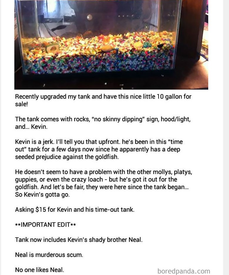 Kevin.jpg