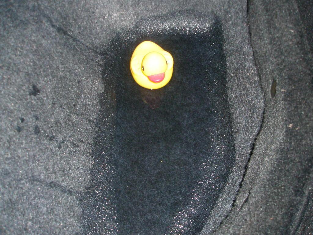 Leak rear DUCK.jpg
