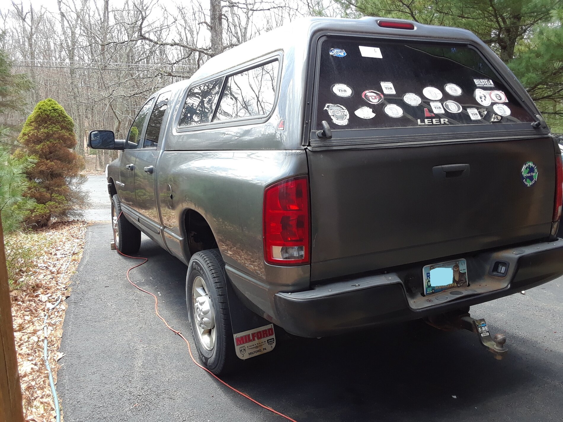 Left rear view no plate number 1.jpg