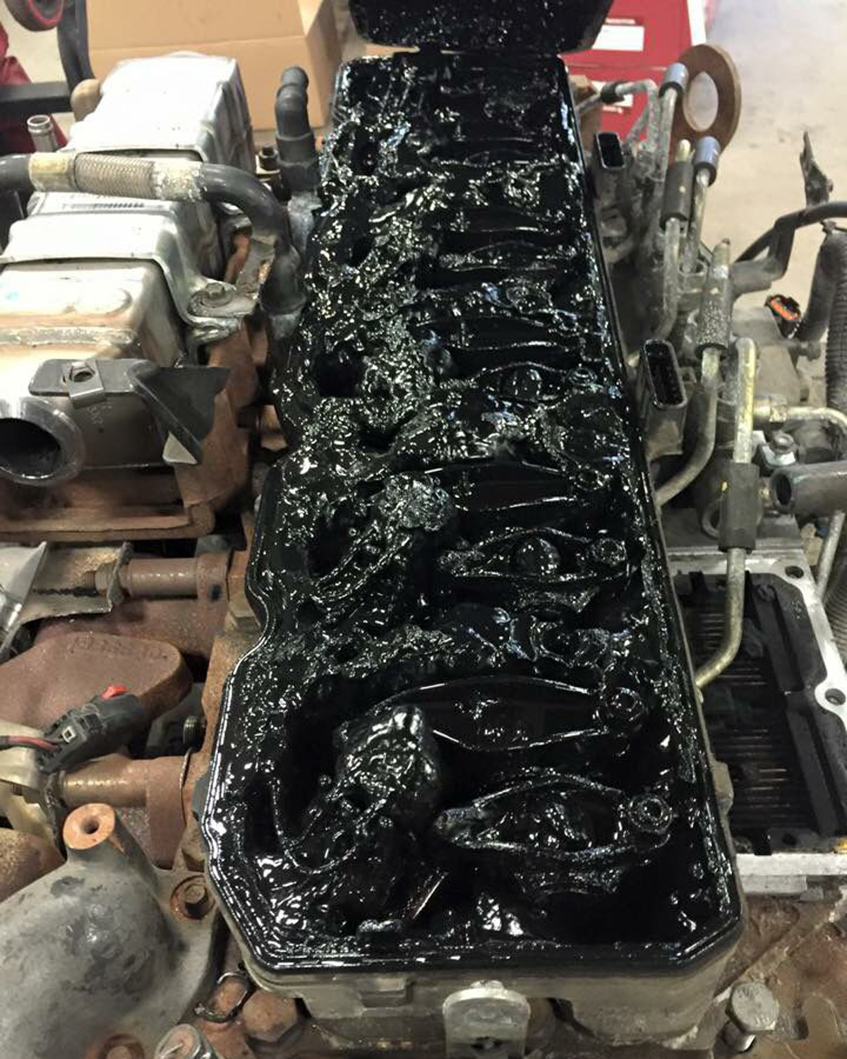 lifetime oil change coupon.jpg
