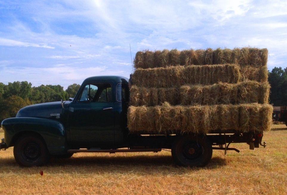 Loaded 51.JPG