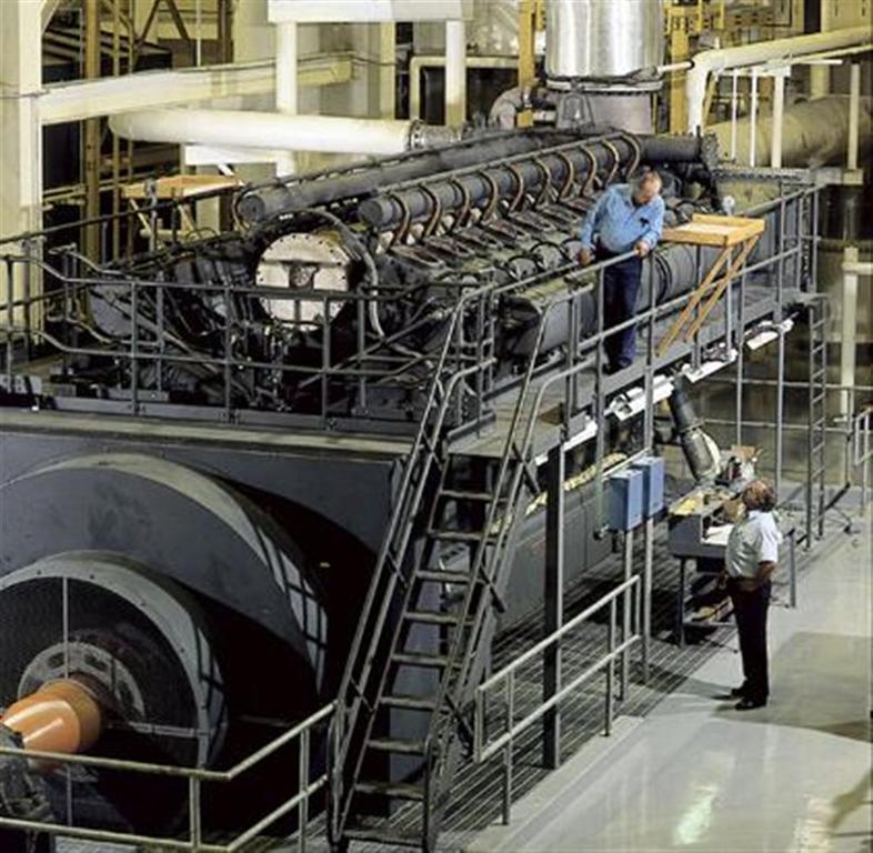 LSVB-1 (Large).jpg