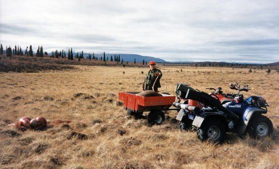 McLaren River Caribou.jpg
