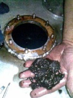 microbial%20sludge_1.jpg