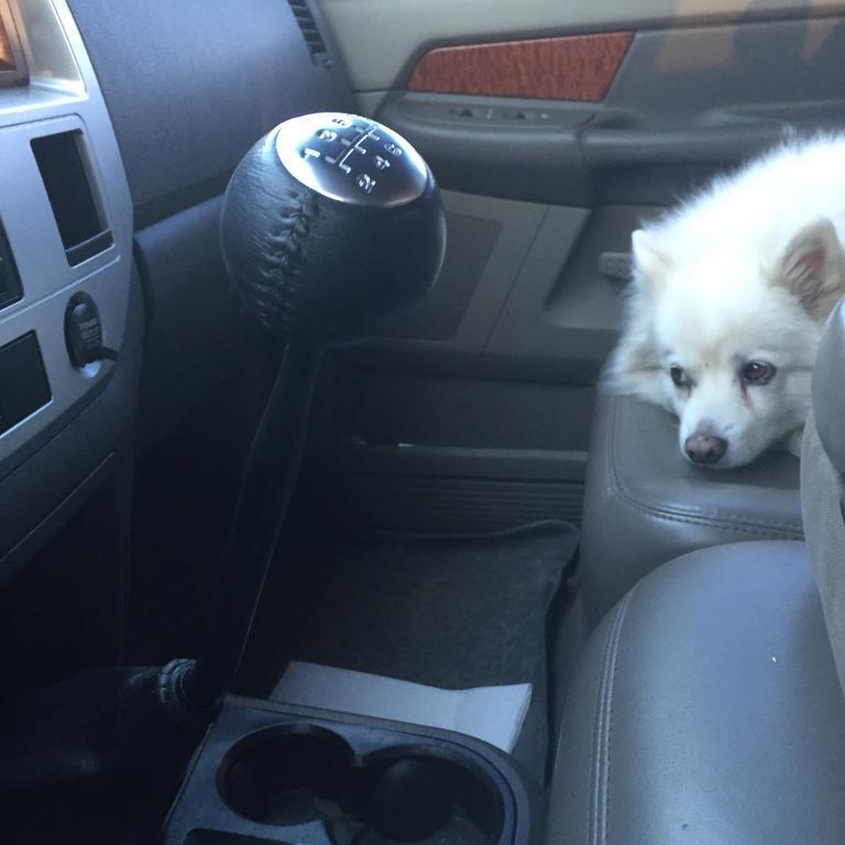 milan new hampshire 2015 014.jpg