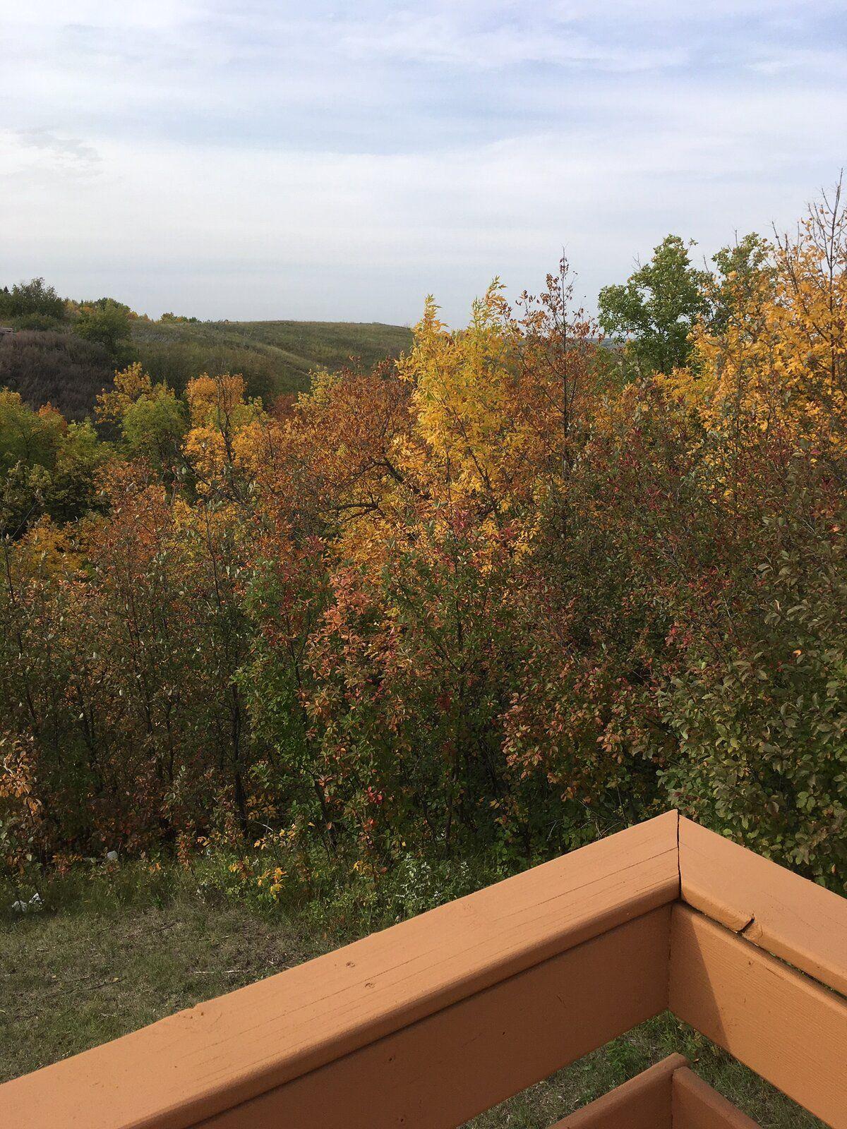 Minot Fall 2.JPG