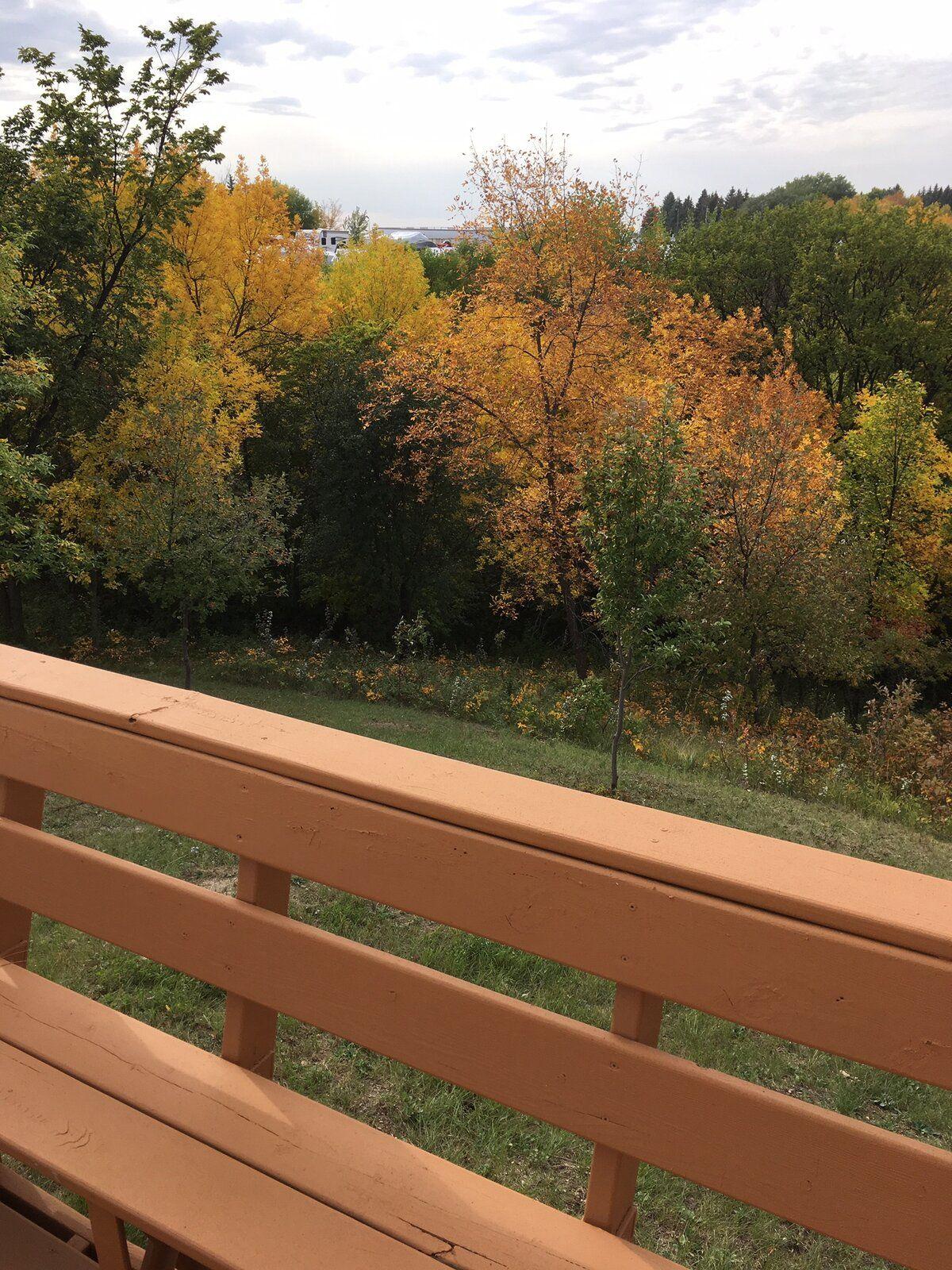 Minot Fall 3.JPG
