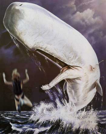 MobyDick.jpg