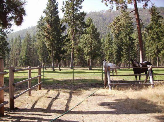 montana_resort_horse_back_riding.jpg