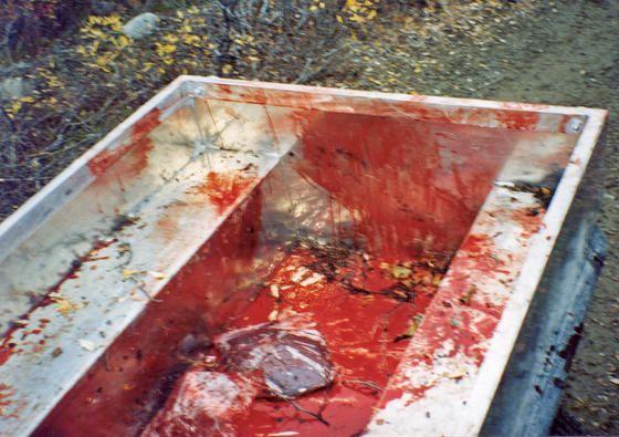 Moose Hunt.jpg