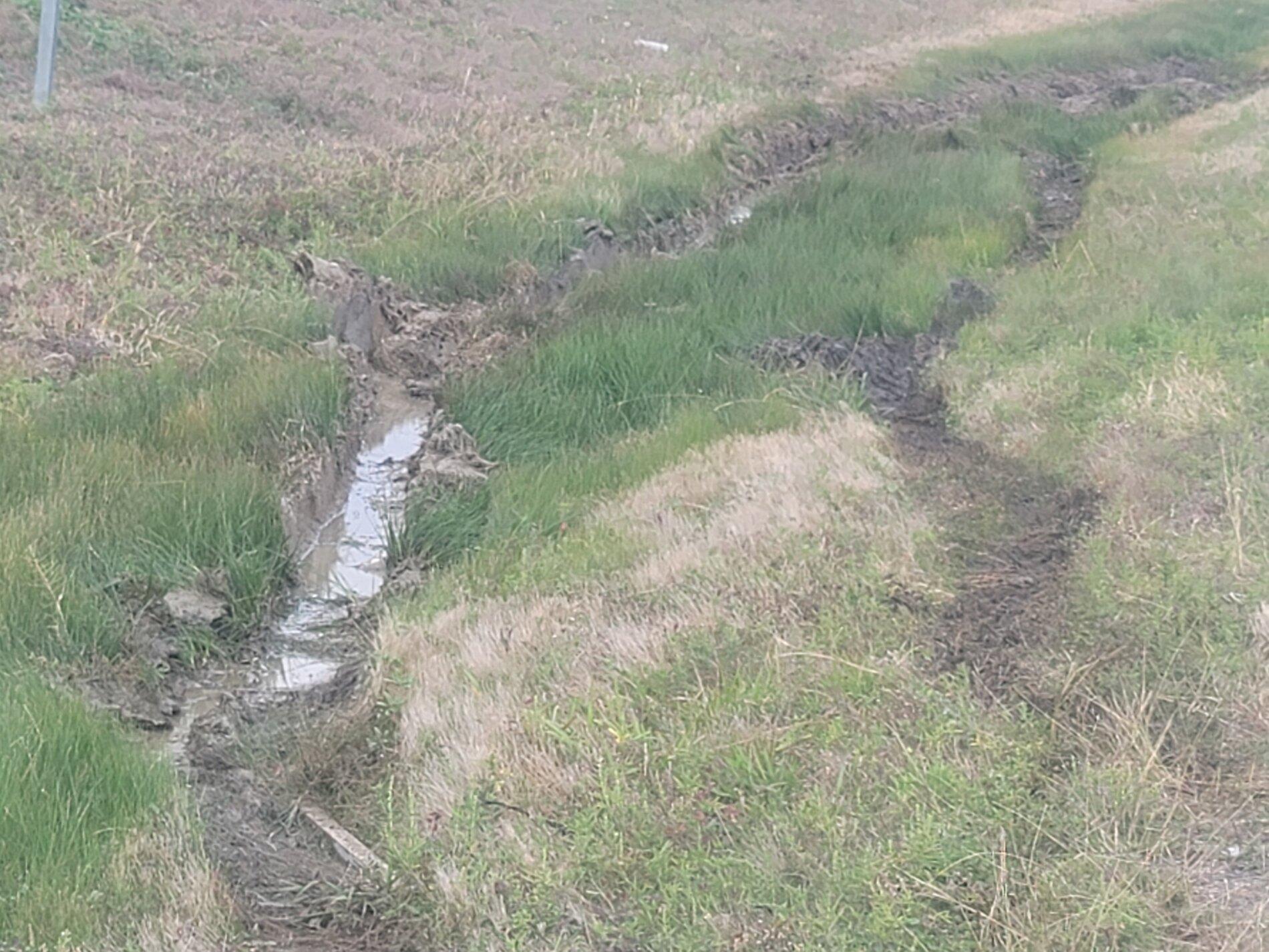 Mud 1.jpg