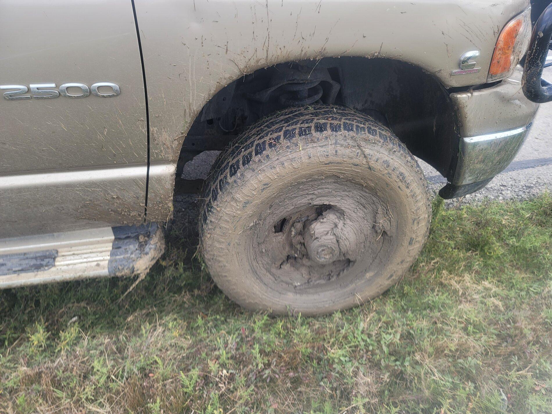 Mud 3.jpg