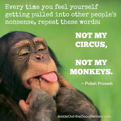 not my circus.jpg