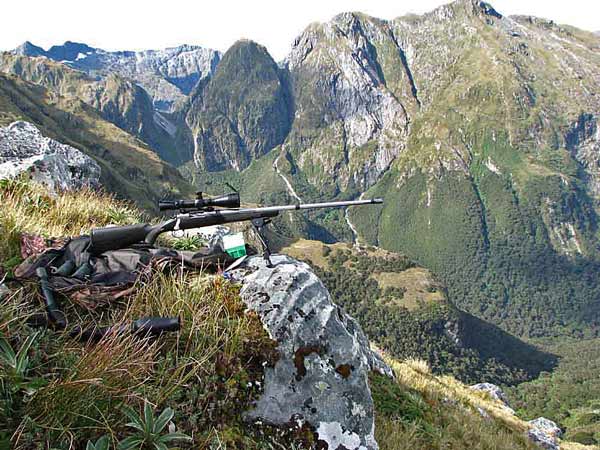 nz-0371.jpg