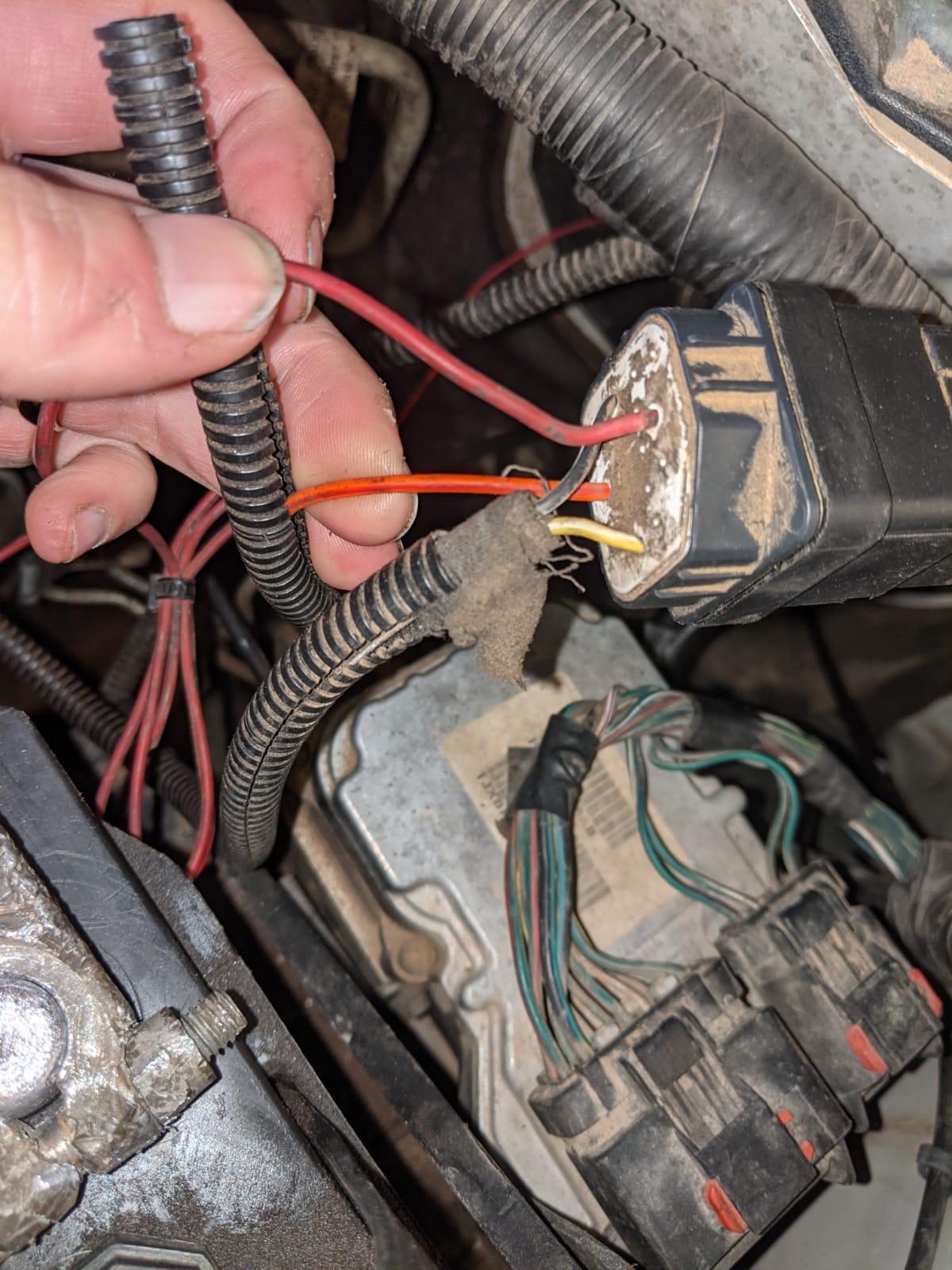 Old lift pump RELAY red white with fuse to positive terminal Orange ground.jpeg