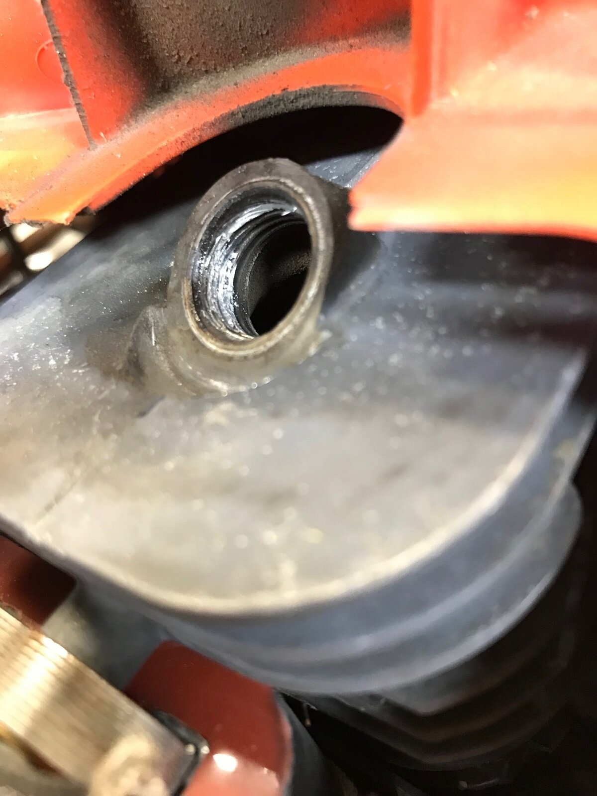 OOPS PLUG.jpg