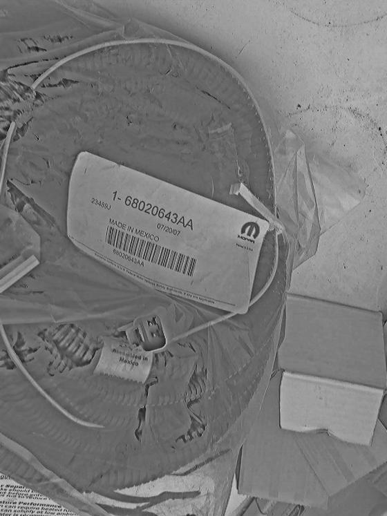 P1010036.jpg