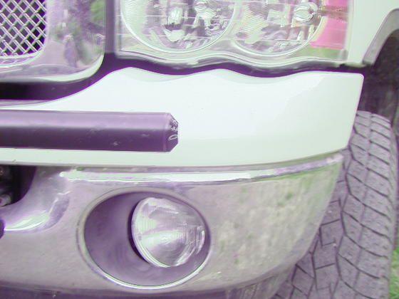 P1010071.jpg